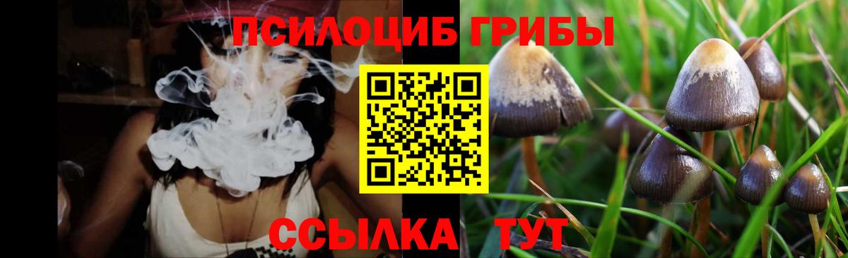 Галлюциногенные грибы Psilocybine cubensis  даркнет сайт  Киселёвск  Вход с VPN 